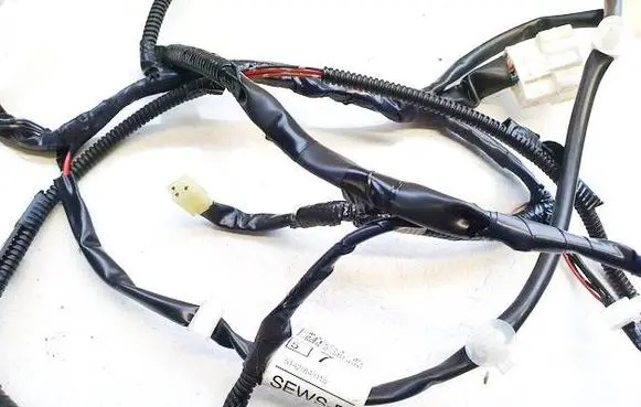 Nissan Leaf I (ZE0) Other wiring loom 240523nl1c