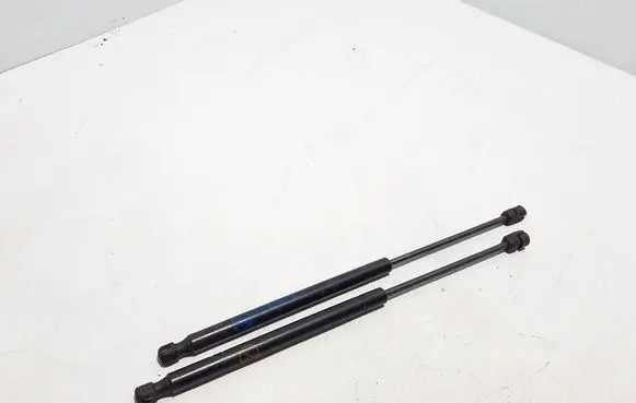 Ford Mach-E I Front bonnet/hood damper/strut LJ8BR16C826AB