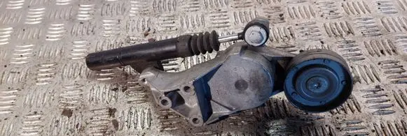 Skoda Octavia Mk1 (1U) Generator/alternator belt tensioner 950434