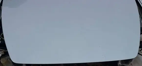 Engine bonnet/hood