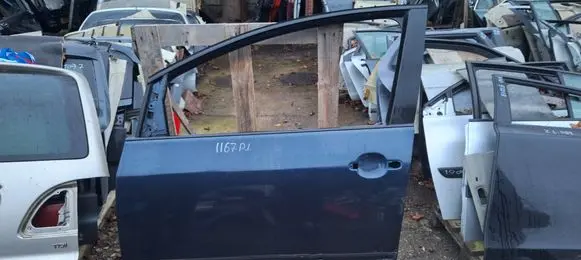 Volkswagen Golf Plus Front door