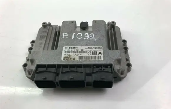 Peugeot Partner Other control units/modules 9666975480 P1092