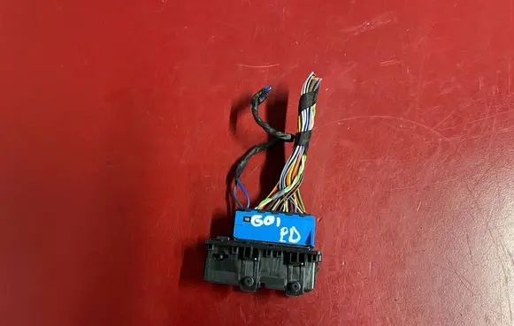 BMW X3 G01 Front door wiring loom 9221027