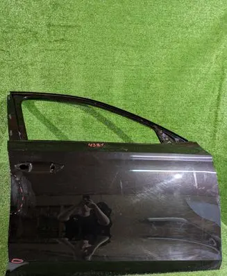 Skoda Octavia Mk4 Front door 