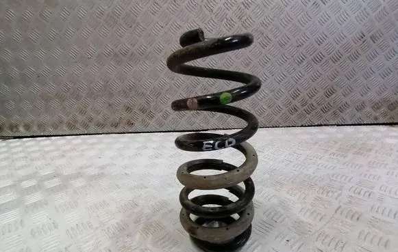 Rear coil spring