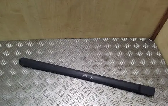 Rear door trim (molding)