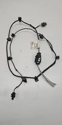 Volkswagen PASSAT B6 Parking sensor (PDC) wiring loom 016346j 1c012113
