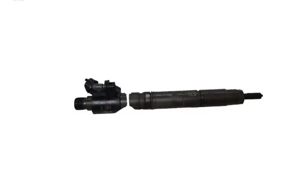 Jaguar XF X250 Fuel injector 0455116013