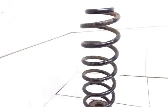Volkswagen PASSAT B6 Rear coil spring