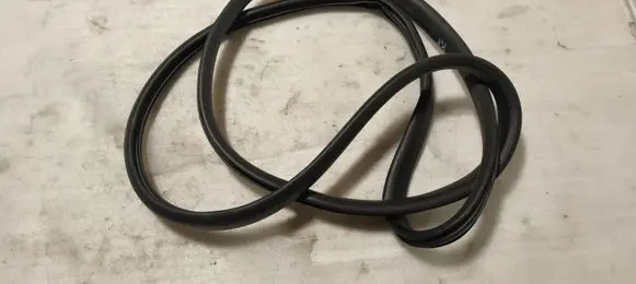 Dacia Sandero III Front door rubber seal 