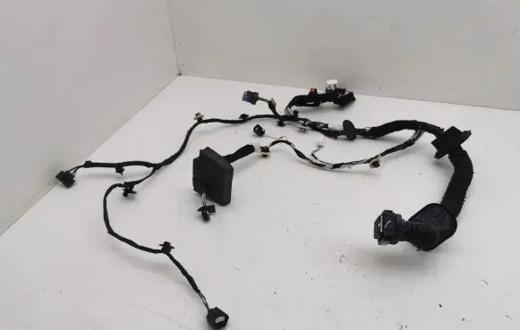 Renault Zoe Front door wiring loom 241243273R