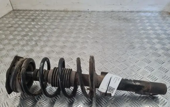 Renault Laguna II Front shock absorber/damper