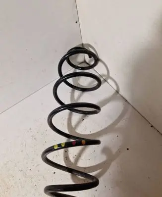 Rear coil spring