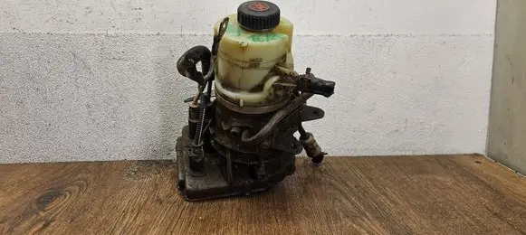 Renault Trafic III (X82) Power steering pump 491100616R A0047924A 93457191