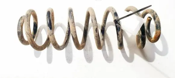 Volkswagen PASSAT B6 Rear coil spring