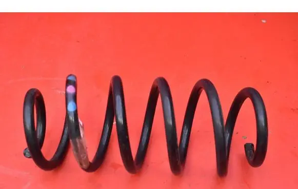 Rear coil spring