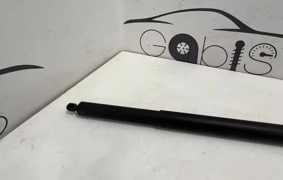 Tailgate strut