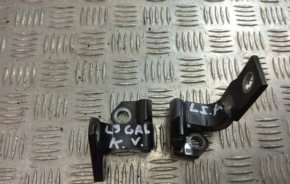 Lexus LS 460 - 600H Rear door hinge set 