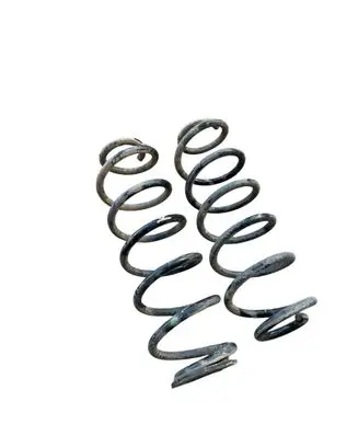 Toyota C-HR I Rear coil spring