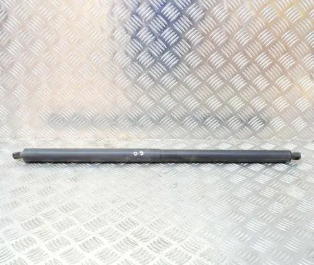Tesla Model X Tailgate/trunk strut/damper 112969800A