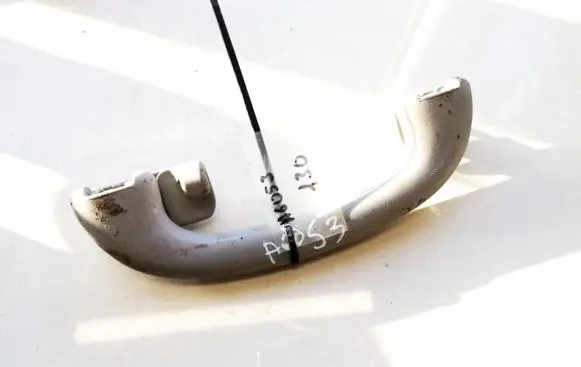 Ford Focus Rear interior roof grab handle