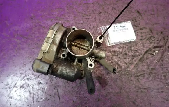 Throttle body valve