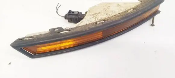 Volkswagen PASSAT B6 Front indicator light 3C0953042