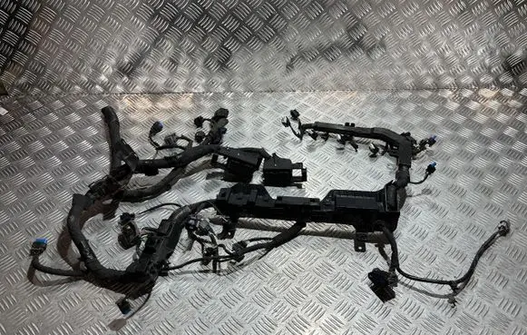 KIA Sportage Engine installation wiring loom PU20461