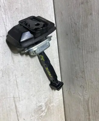 Dacia Sandero III Rear door check strap stopper