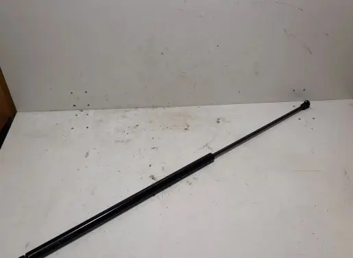 Renault Kangoo II Tailgate/trunk strut/damper 120251
