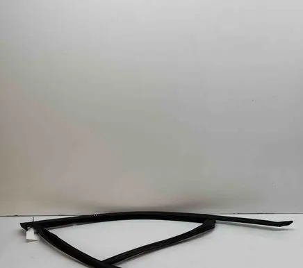 BMW X2 U10 Front door glass trim molding 5A2FC58