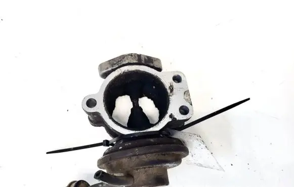 Toyota Land Cruiser (J100) EGR valve 2580030010 101397-0660