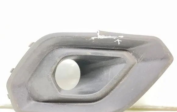 Front fog light trim/grill