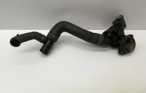 Thermostat/thermostat housing