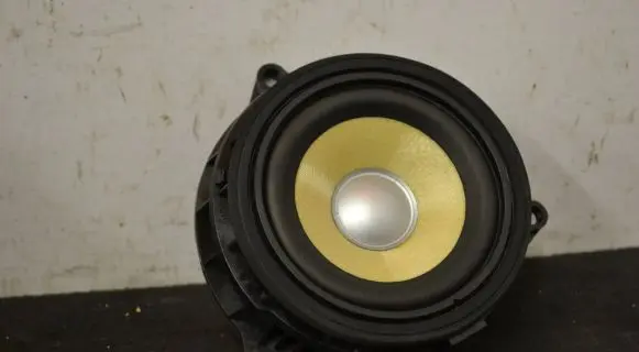 BMW X5 F15 Front door speaker 9295710