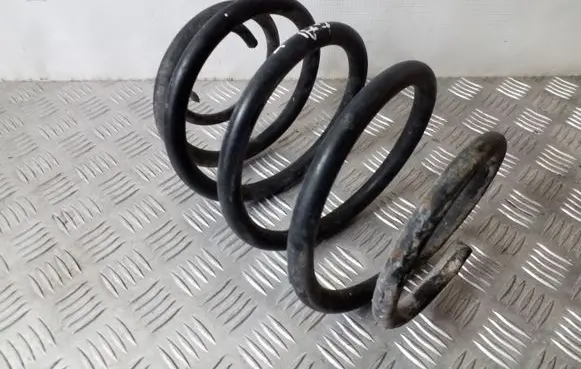 Rear coil spring