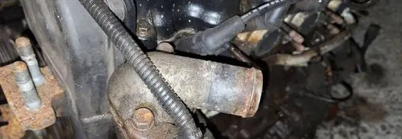 Hyundai Getz Engine coolant pipe/hose 