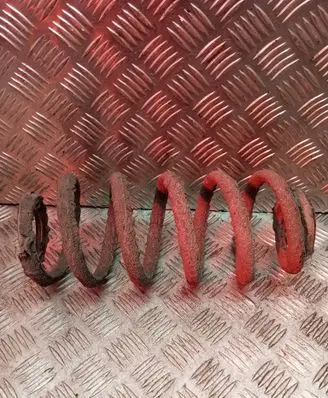 Rear coil spring