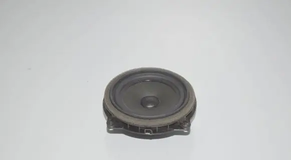 Front door speaker