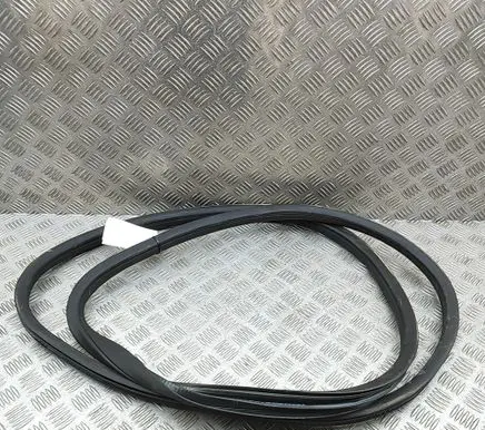 Mercedes-Benz GLS X166 Rubber seal front coupe door A1666970051