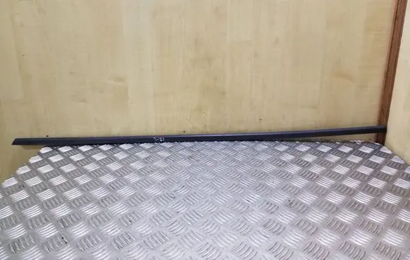 Front door glass trim molding