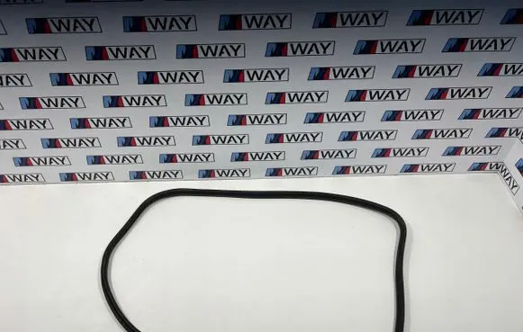 BMW X3 F25 Rubber seal rear door 7300249