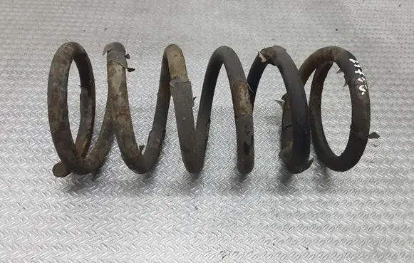 Hyundai Santa Fe Rear coil spring