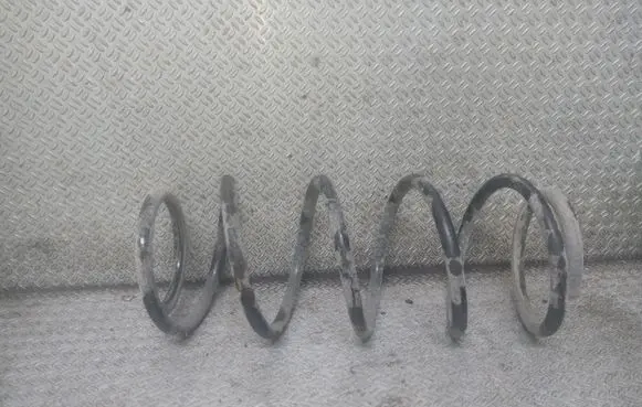 Suzuki Alto Rear coil spring