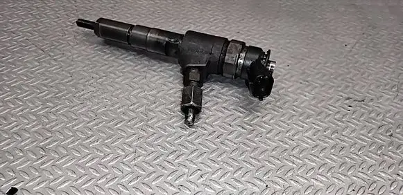 Peugeot 206 Fuel injector 9641496180 0445110075