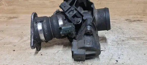 Throttle body valve