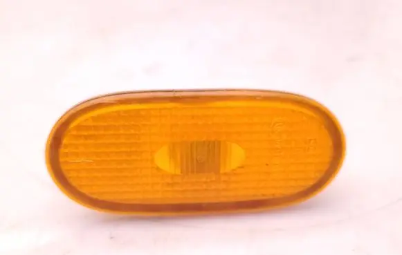 Front fender indicator light