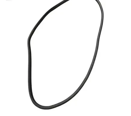 Ford Escape IV Front door rubber seal 
