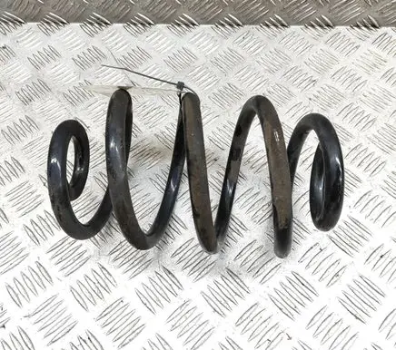 Nissan Leaf II (ZE1) Rear coil spring 550205SJ1B