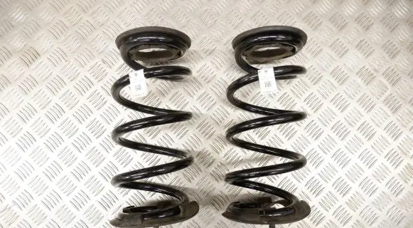 Tesla Model 3 Rear coil spring 104447201E